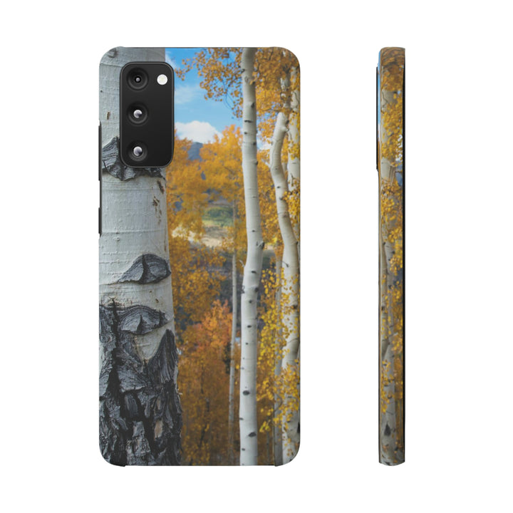 Aspens Changing - Phone Case