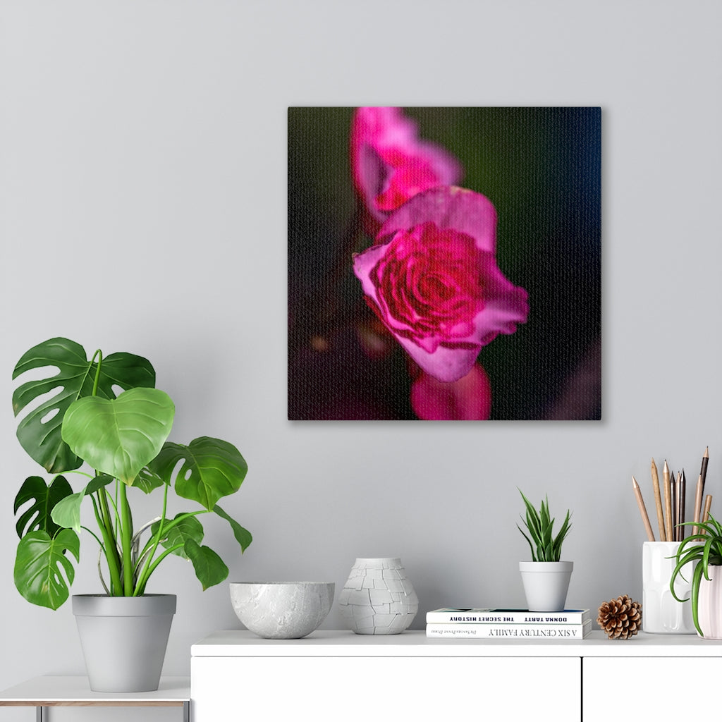 Hybrid Tea Lily - Canvas