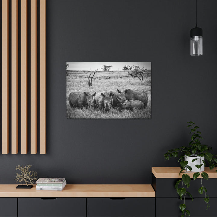 Rhino Family in Black and White - Canvas