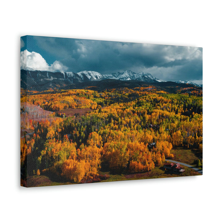 Golds of Autumn - Canvas