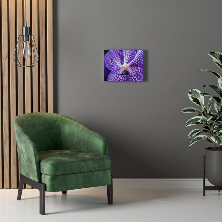 Orchid Detail - Canvas