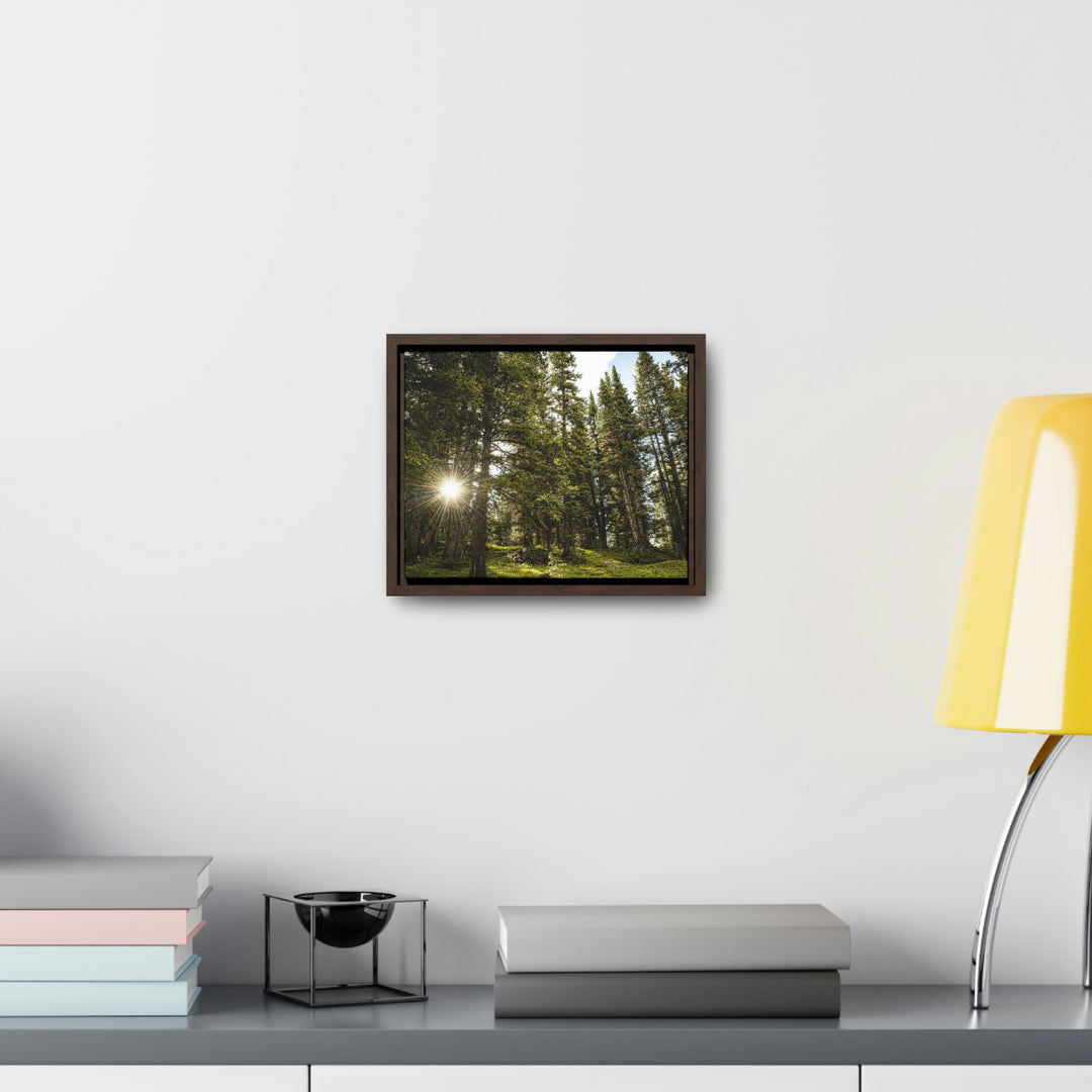 Forest Light - Canvas with Frame