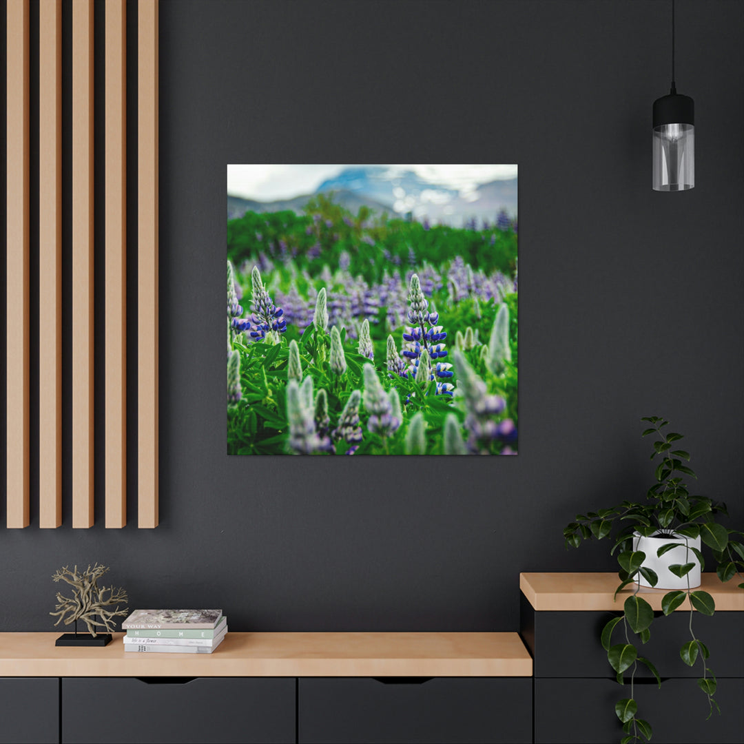 Glowing Lupin with Mountains - Canvas