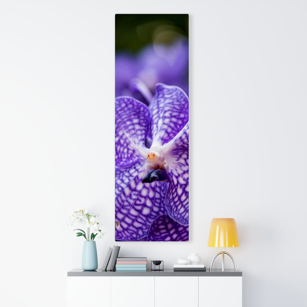 Orchid Detail - Canvas