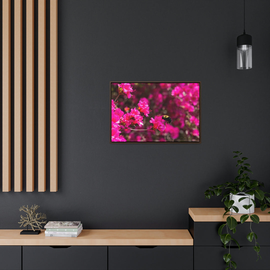 Hovering - Canvas with Frame