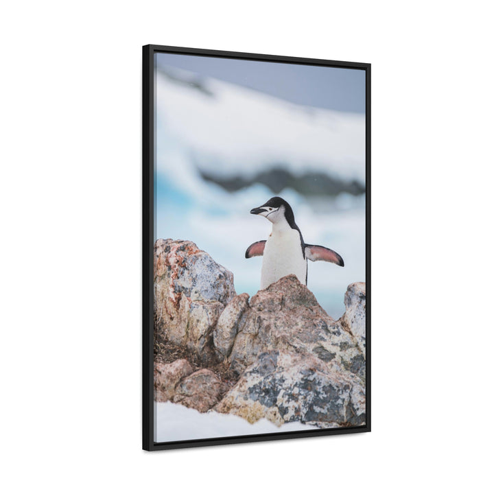 Stretched Penguin - Canvas with Frame