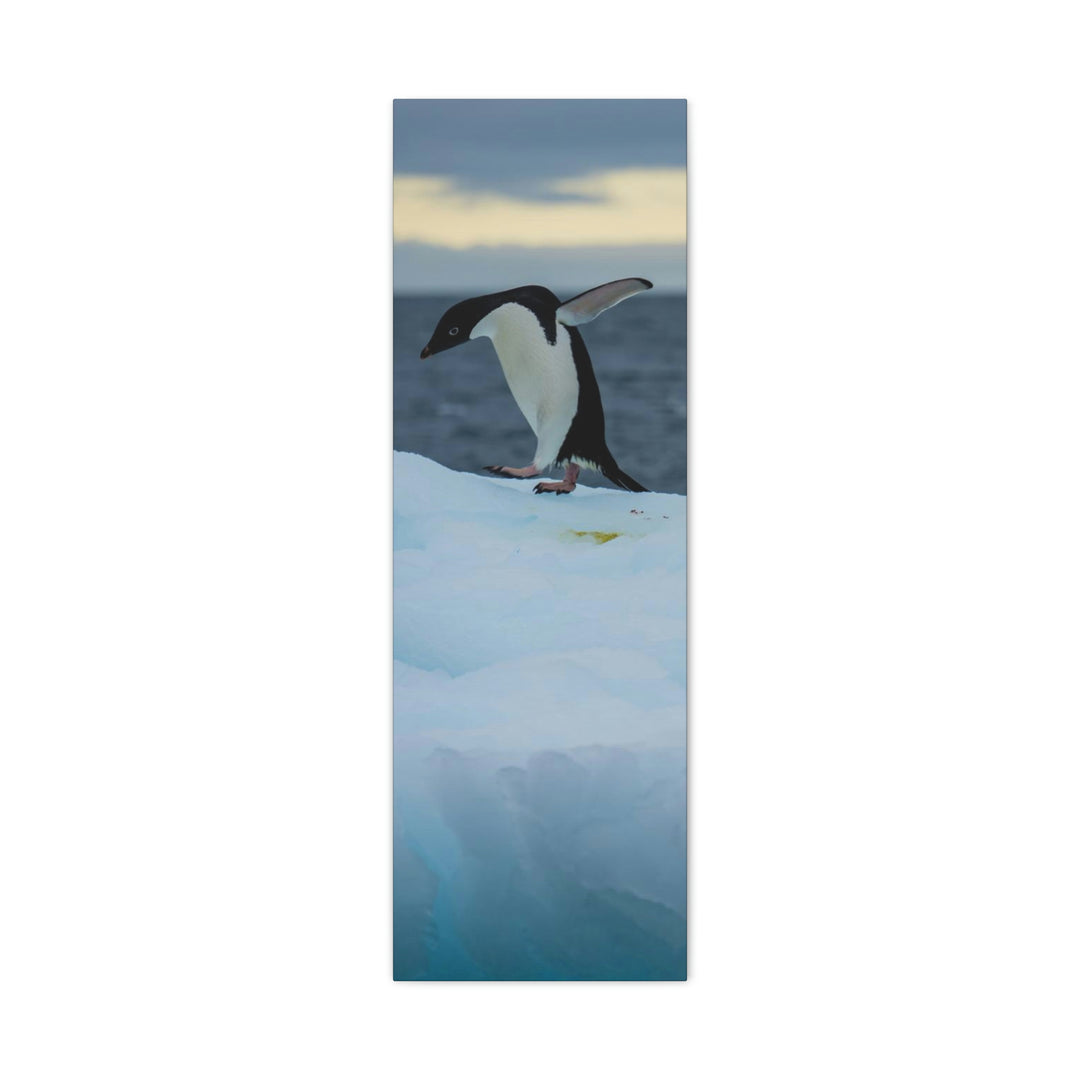 Penguin Dance - Canvas