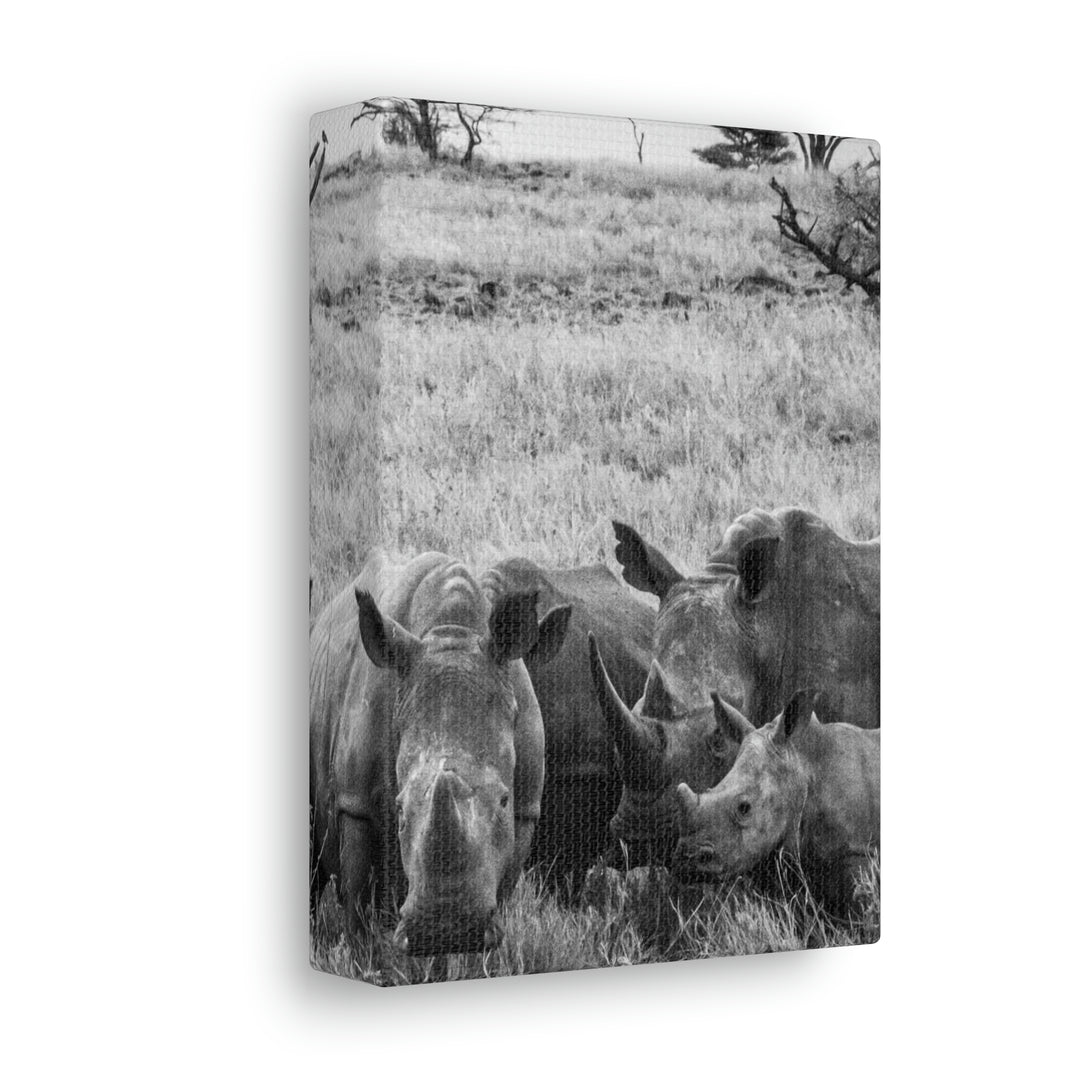 Rhino Family in Black and White - Canvas