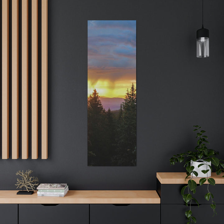 Rainy Sunset Through the Trees - Canvas