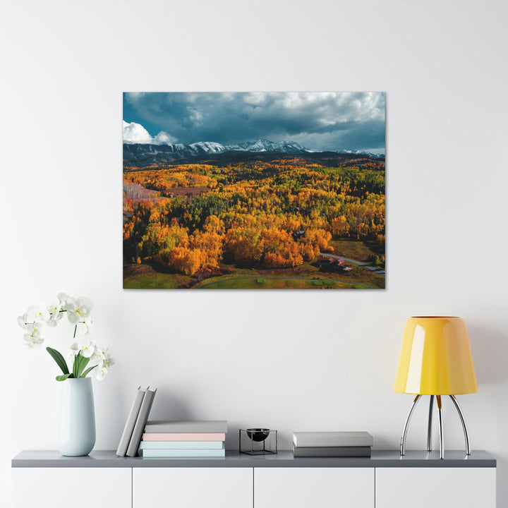 Golds of Autumn - Canvas