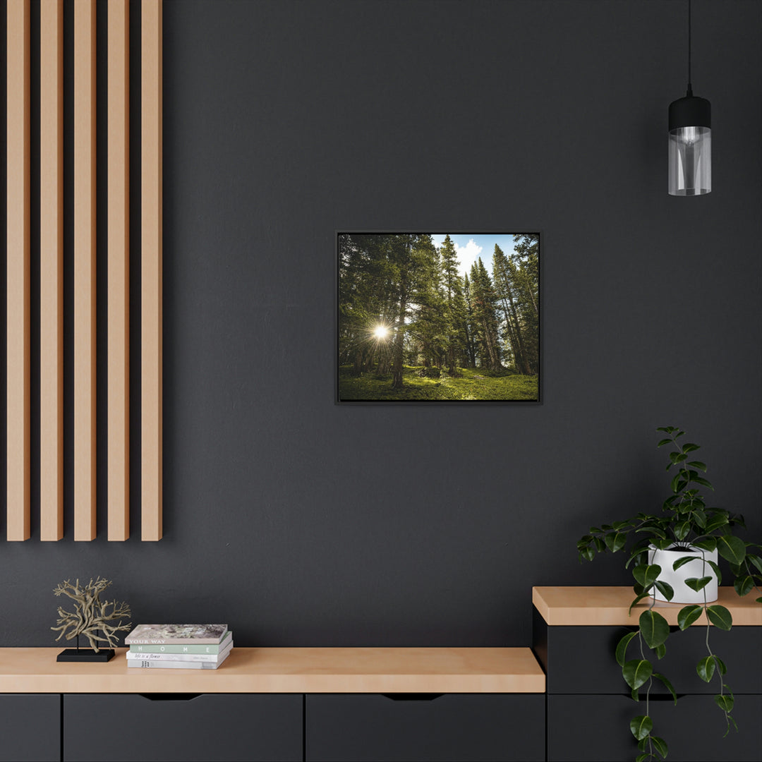 Forest Light - Canvas with Frame