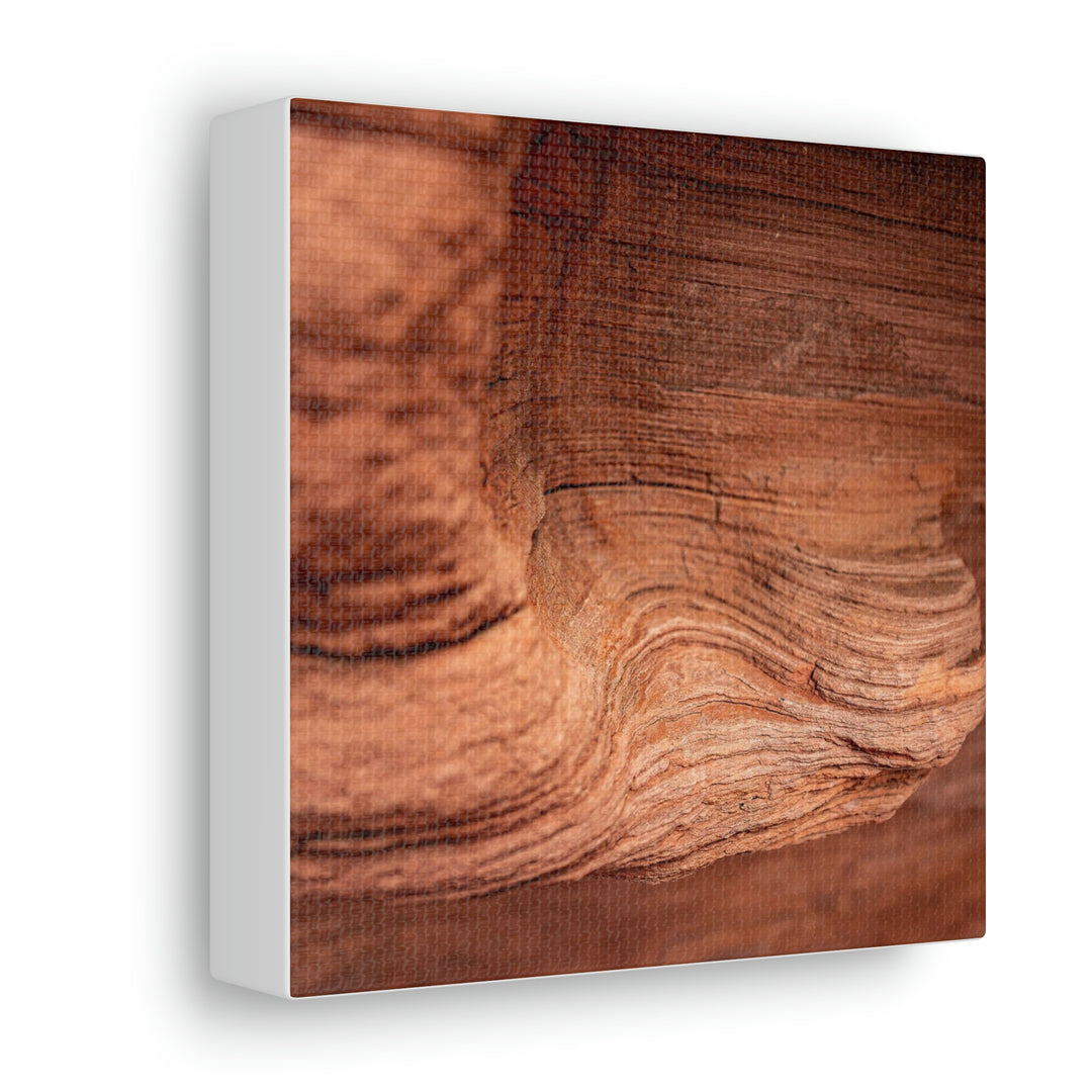 Sedimentary Rock Curves - Canvas