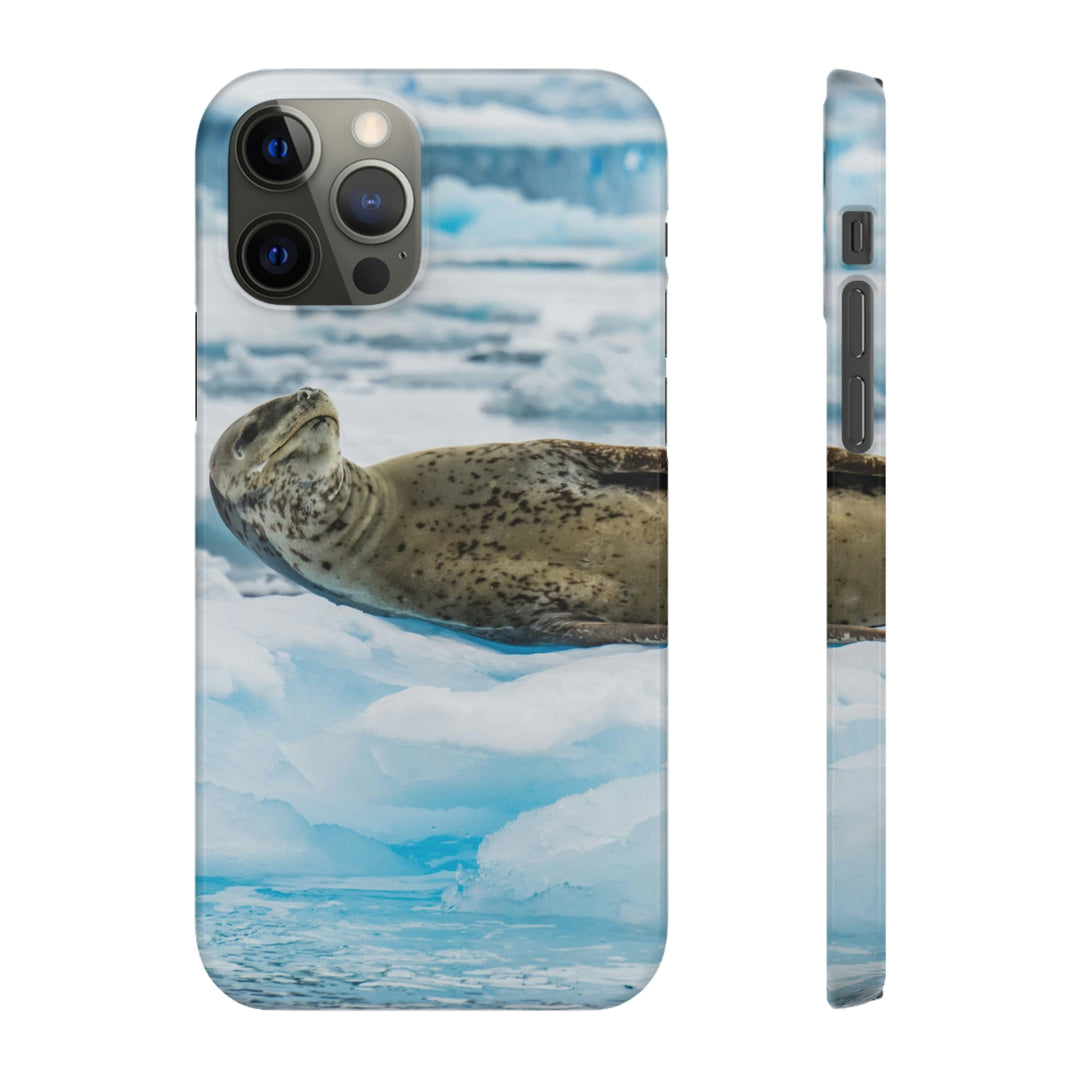 Leopard Seal Relaxing - Phone Case