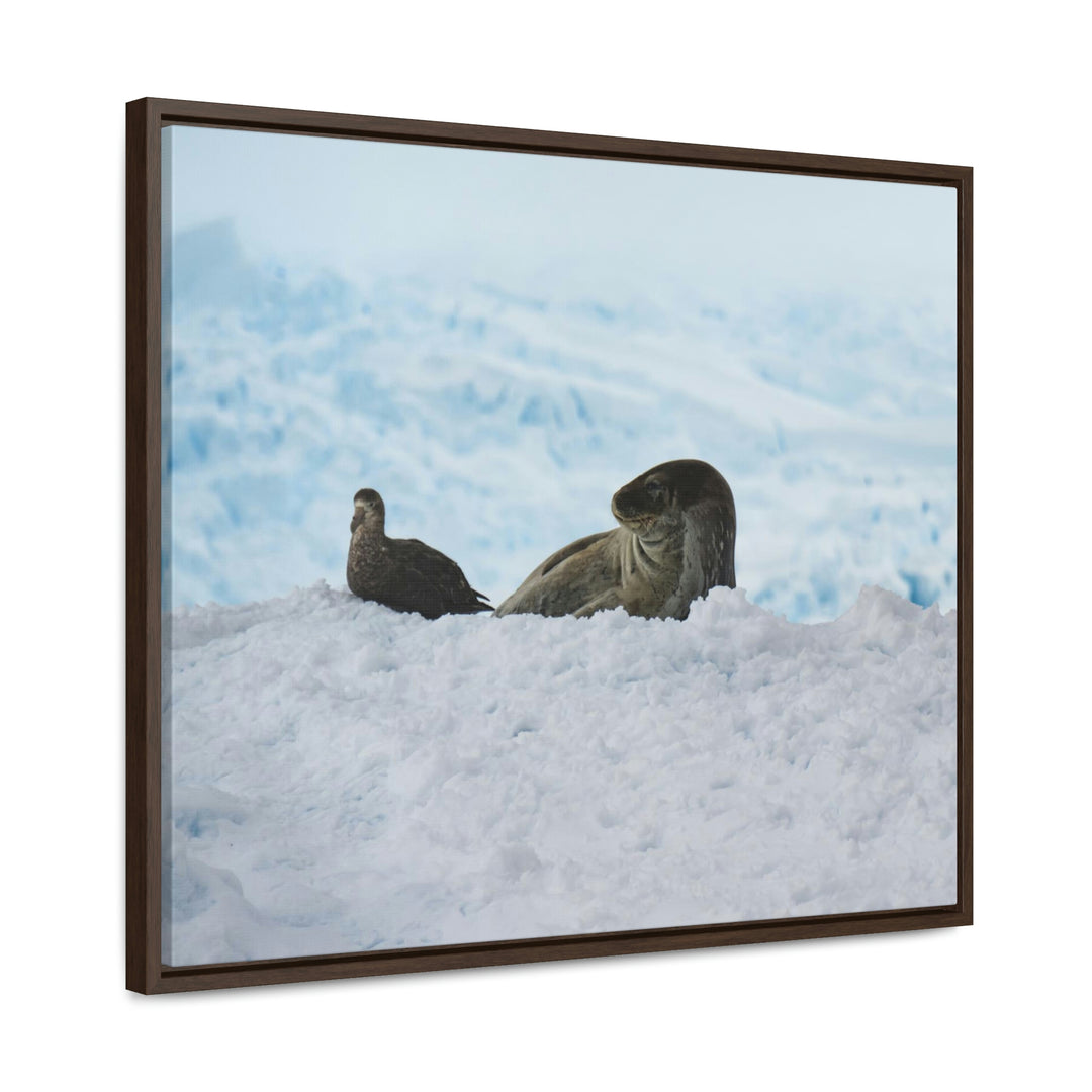 A Resting Pair - Canvas with Frame