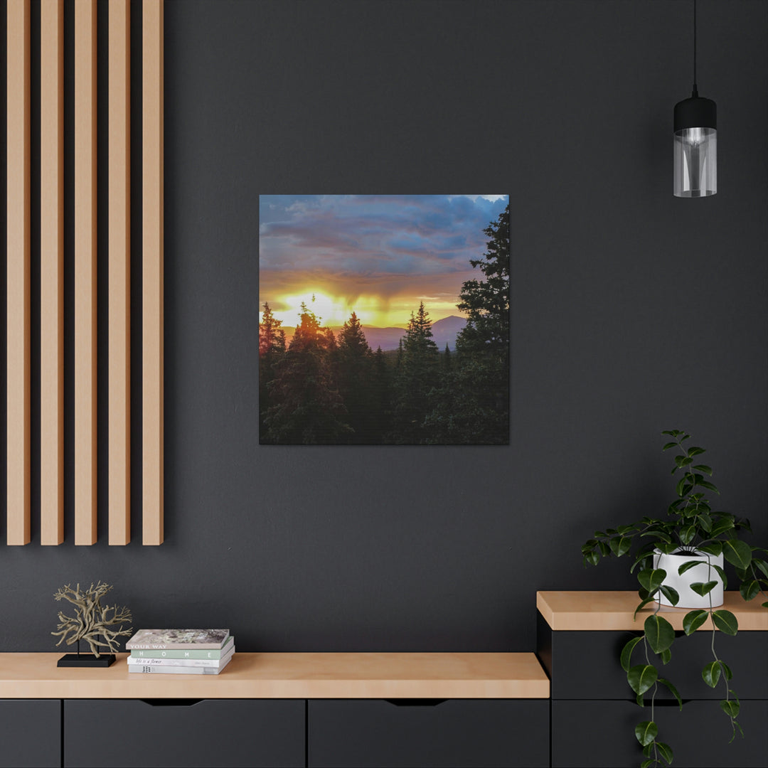 Rainy Sunset Through the Trees - Canvas