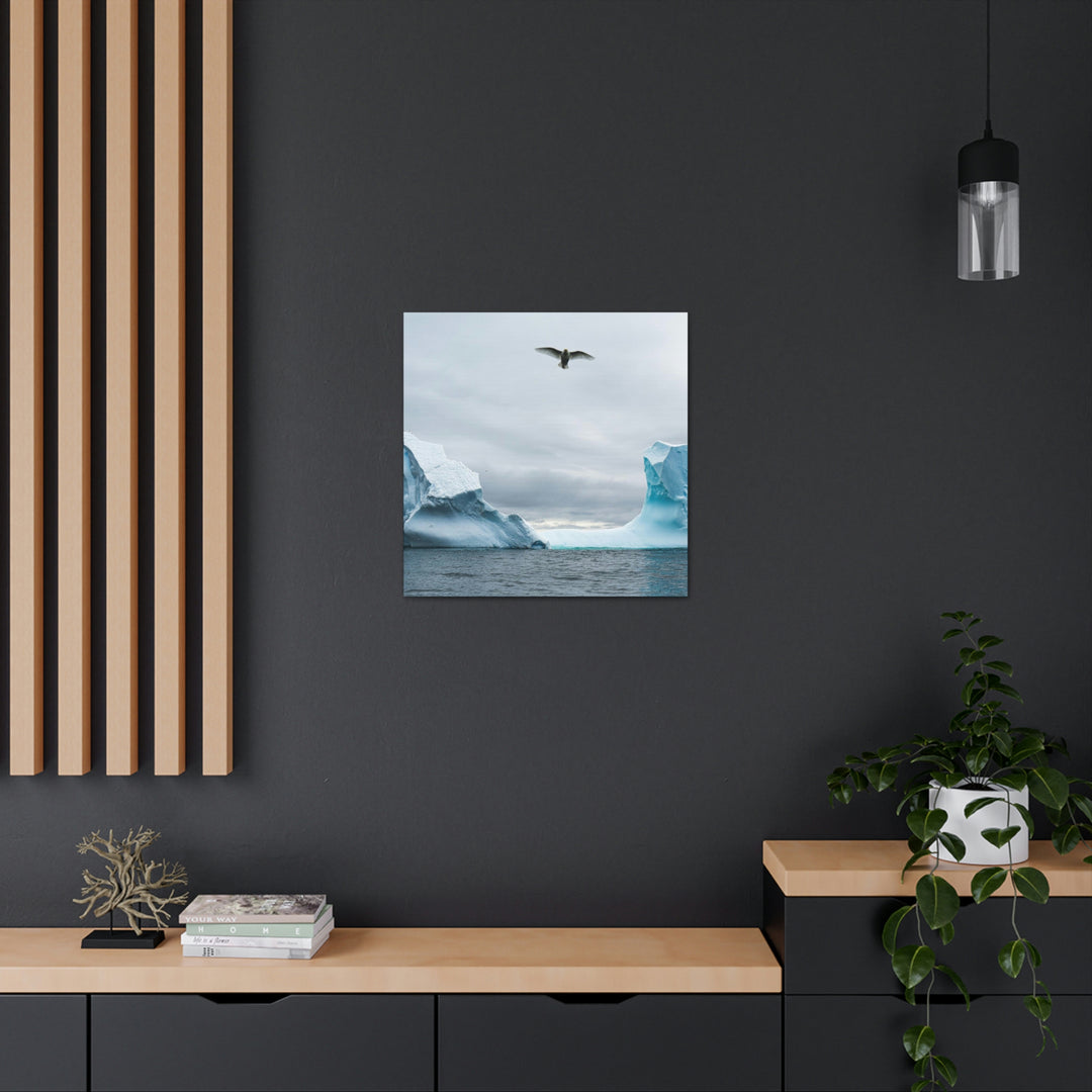 Antarctic Flight - Canvas