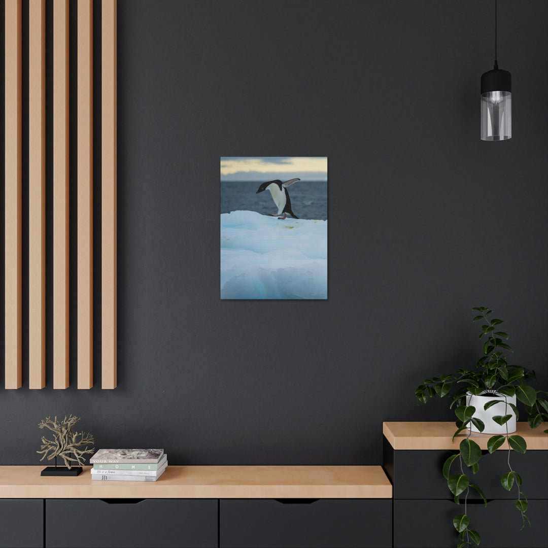 Penguin Dance - Canvas