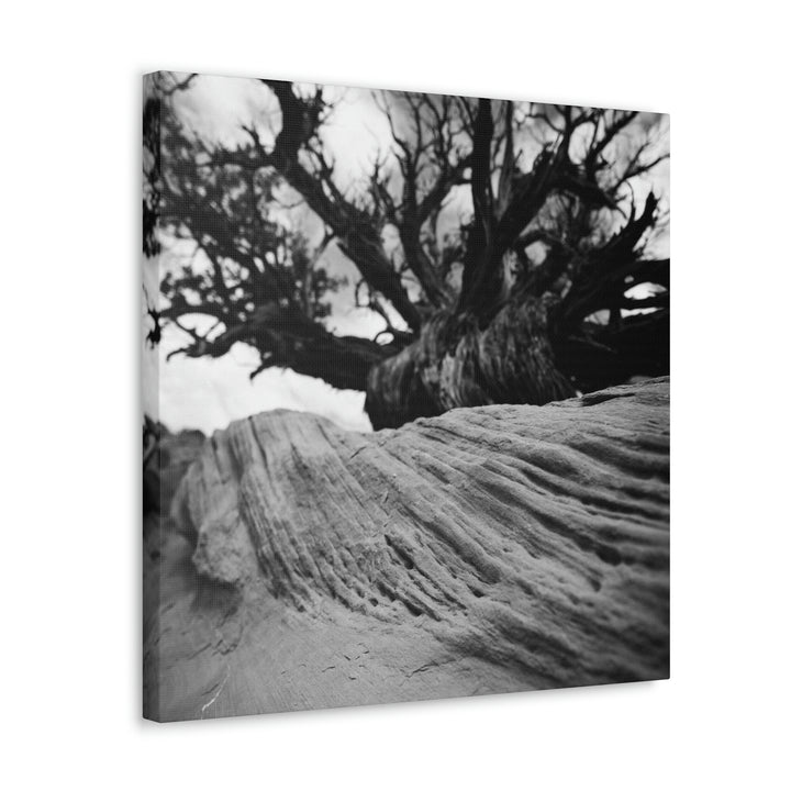 Desert Reach in Black and White - Canvas