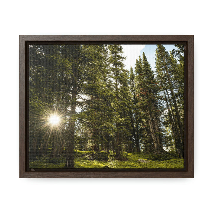 Forest Light - Canvas with Frame