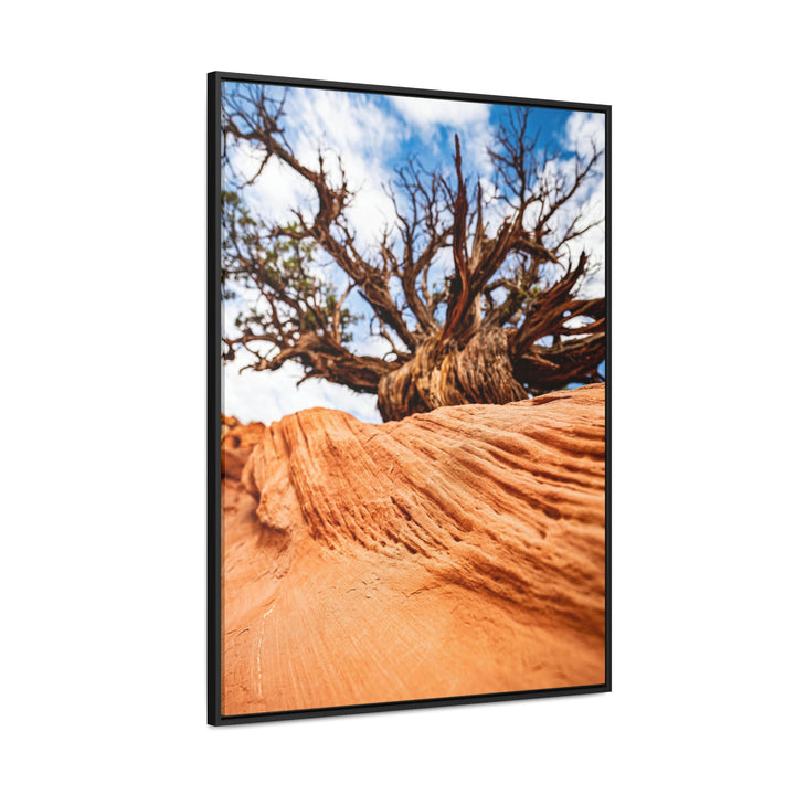 Desert Reach - Canvas with Frame