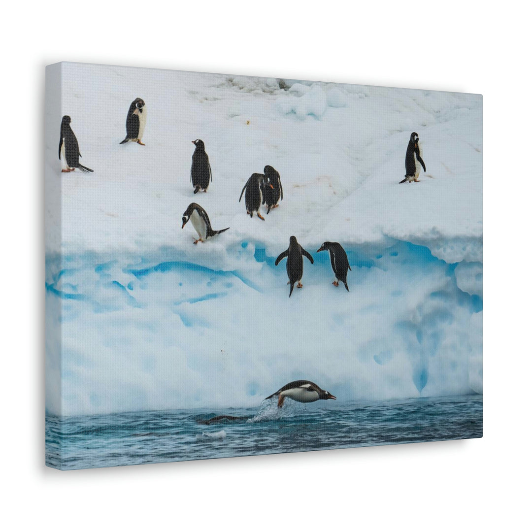 Porpoising Penguin - Canvas