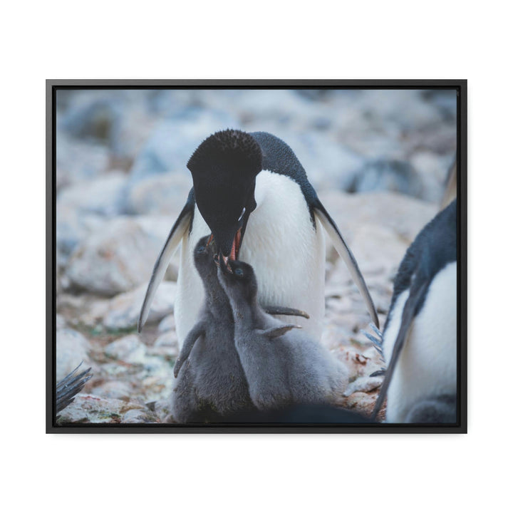 Feeding Time - Canvas with Frame