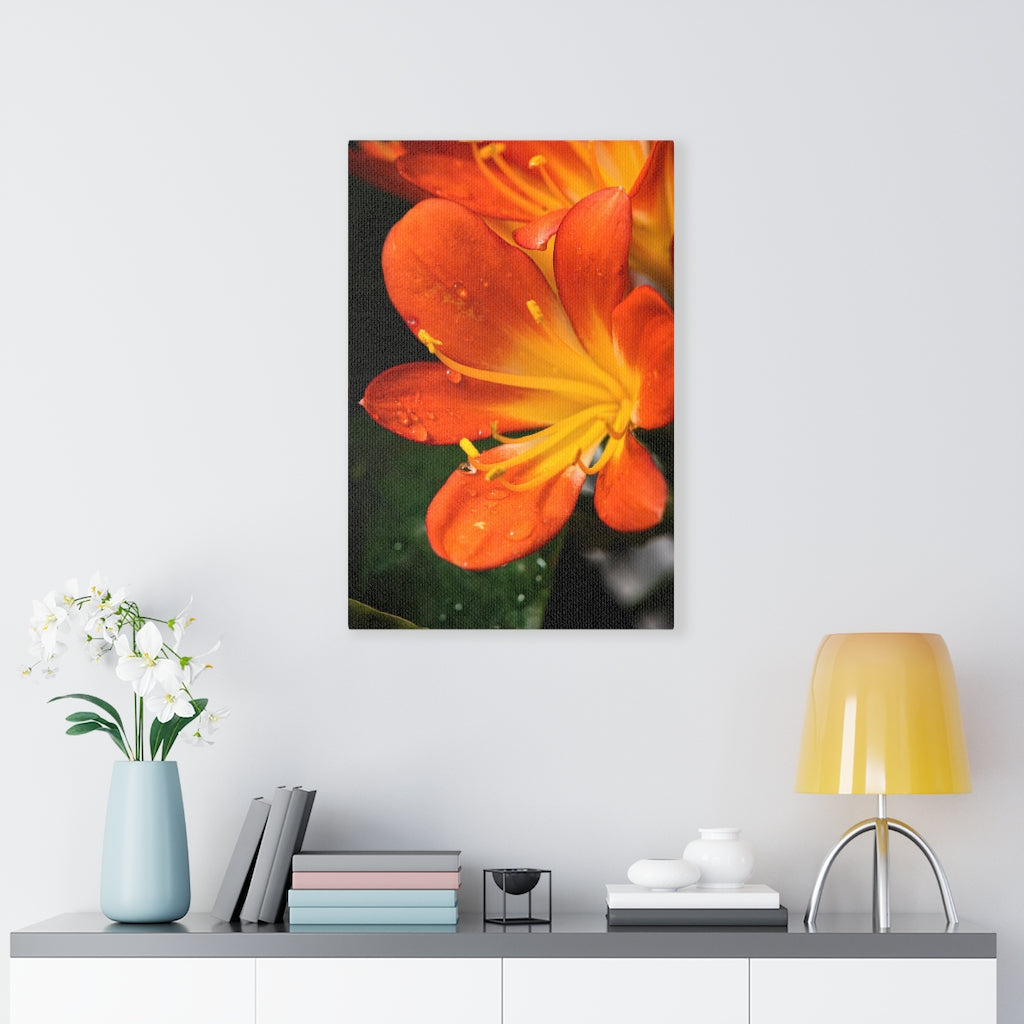 Bright Bush Lily - Canvas