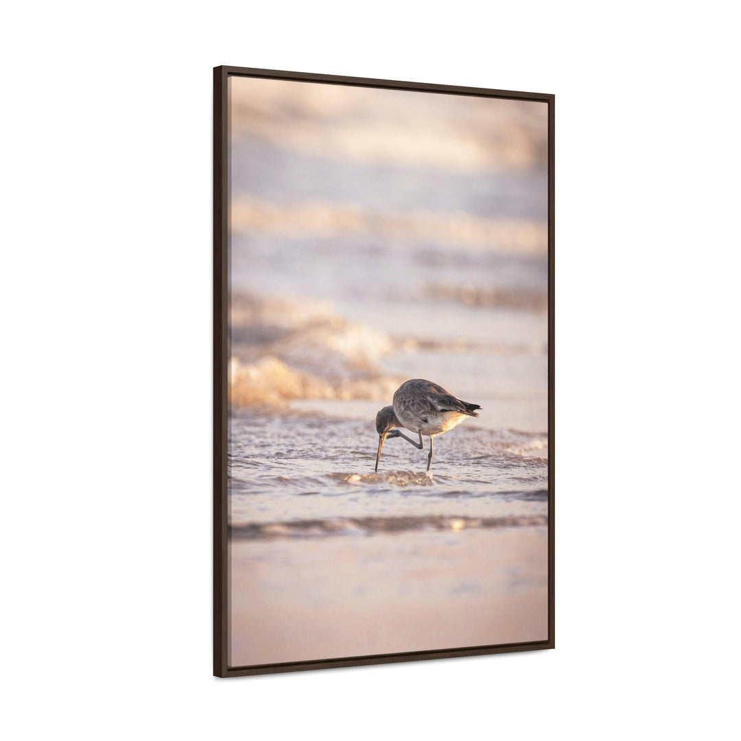 Willet Itch - Canvas with Frame