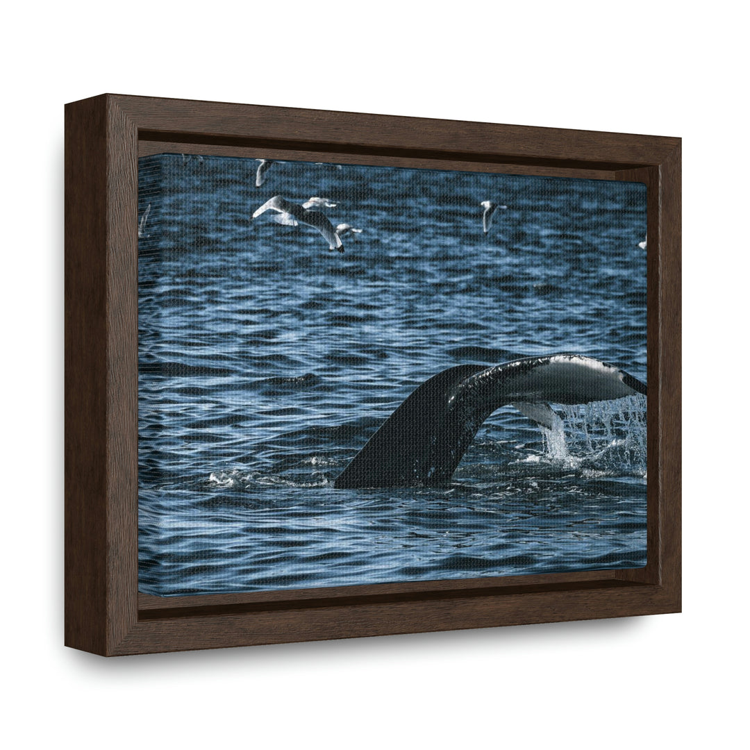 Feeding Tail - Canvas with Frame