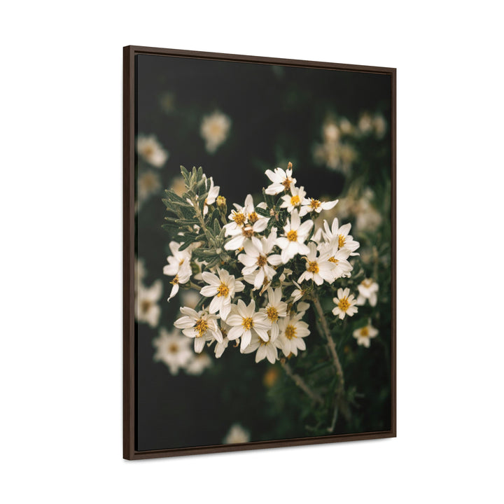 A Touch of White - Canvas with Frame