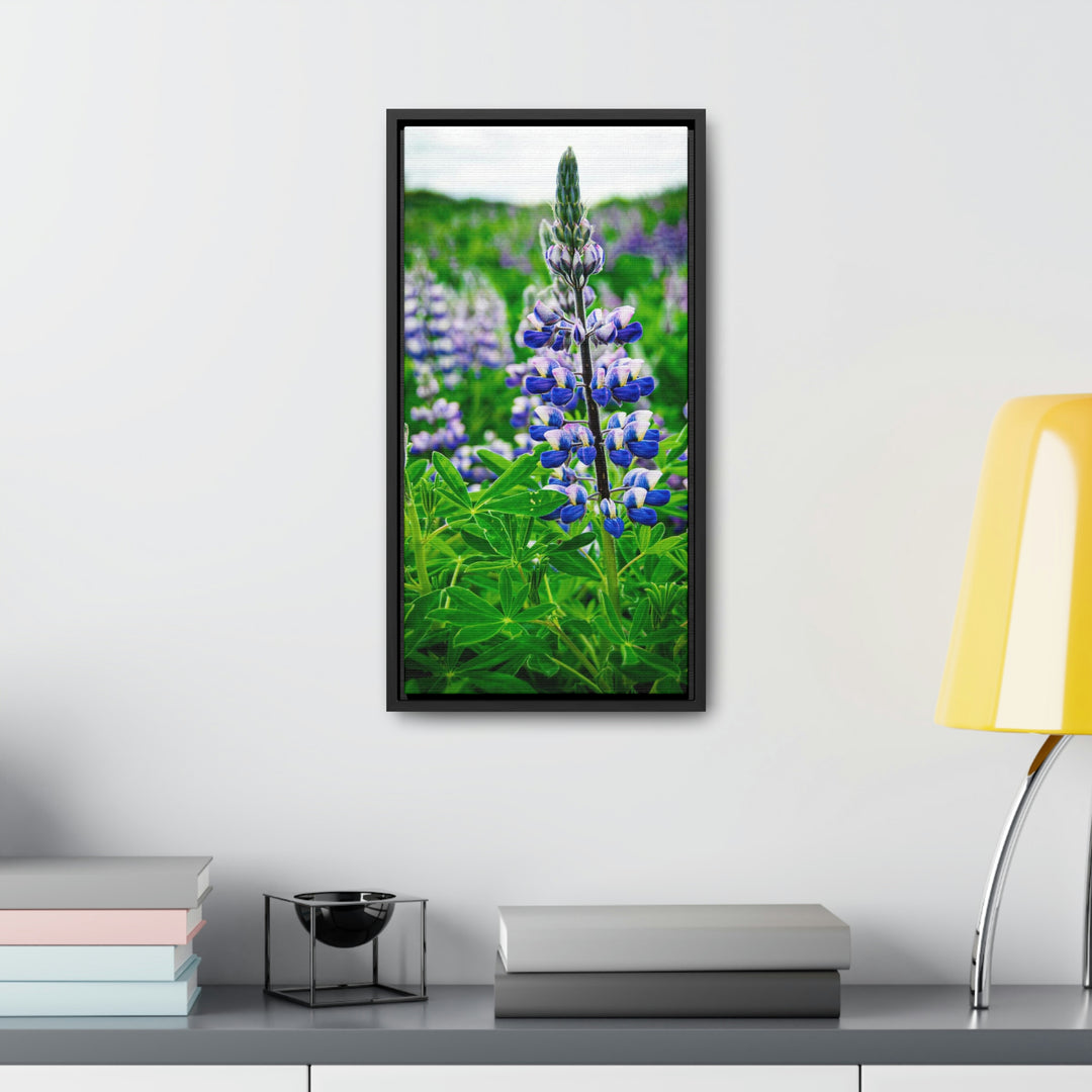 Glowing Lupin - Canvas with Frame