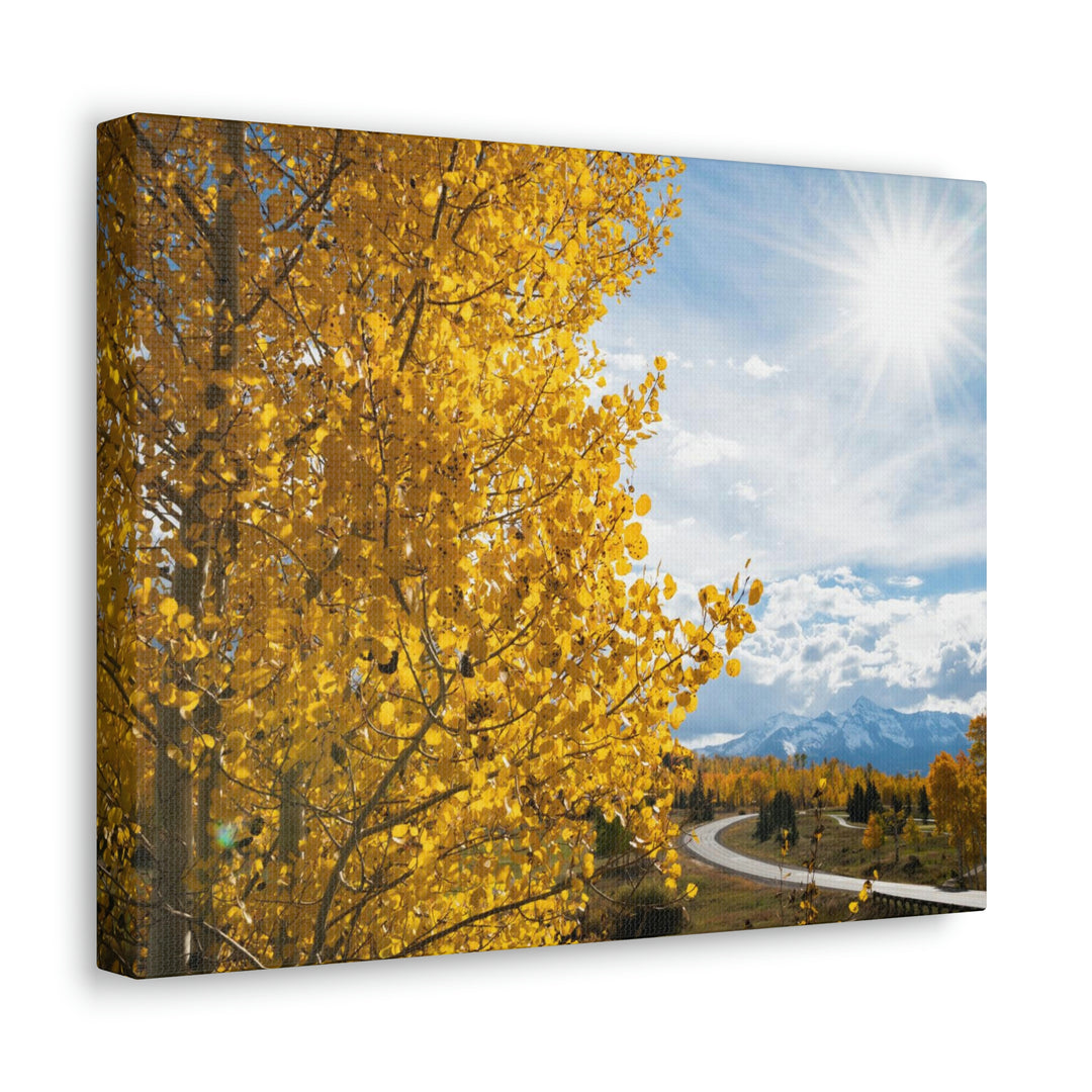 Golden Sunshine - Canvas