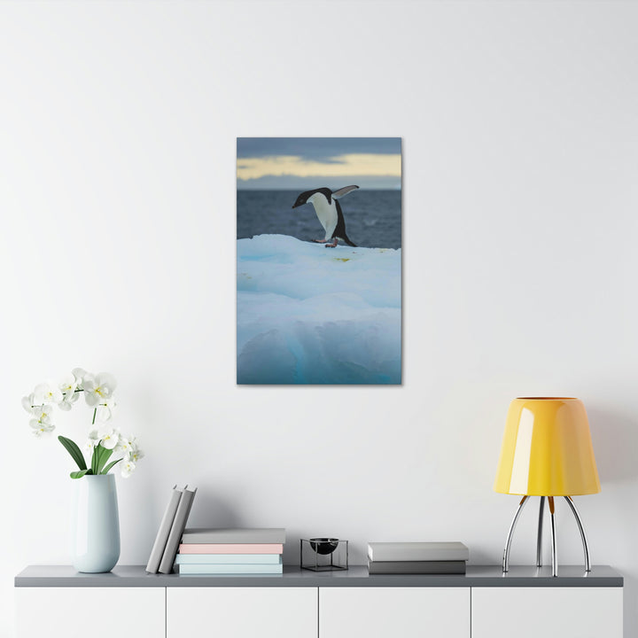 Penguin Dance - Canvas