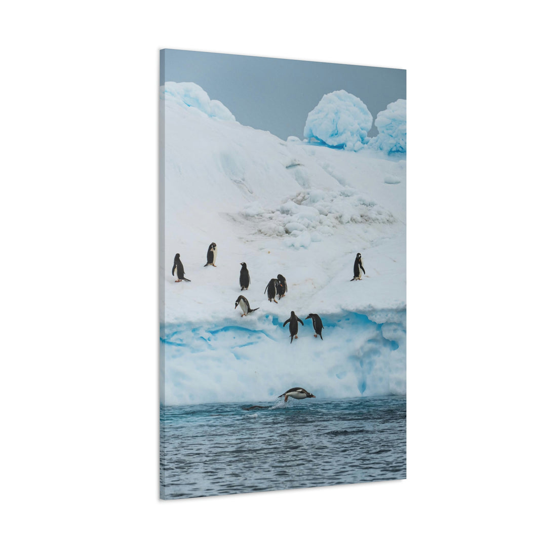 Porpoising Penguin - Canvas