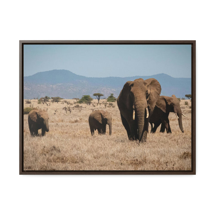 Family March - Canvas With Frame