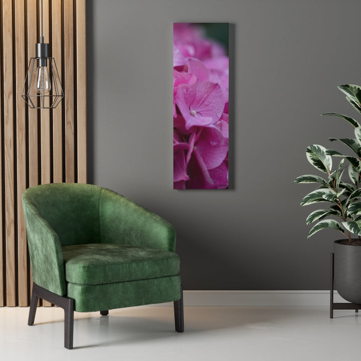 Pink Hydrangea Detail - Canvas