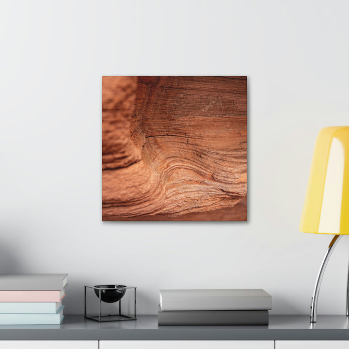 Sedimentary Rock Curves - Canvas