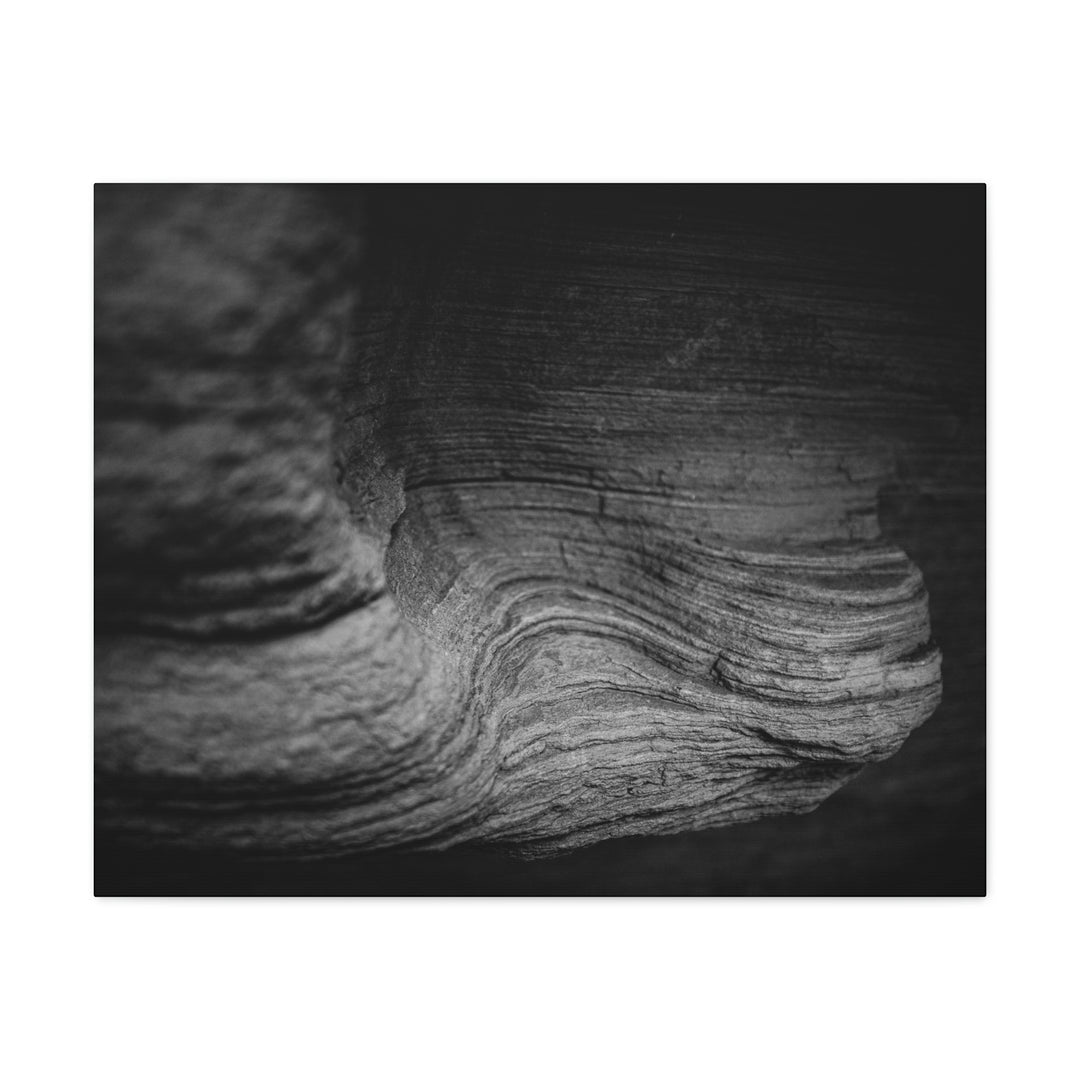 Sedimentary Rock Curves in Black and White - Canvas