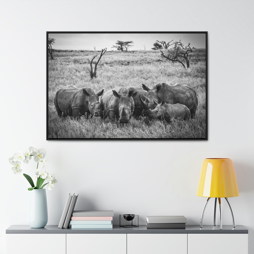 Rhino Family in Black and White - Canvas with Frame