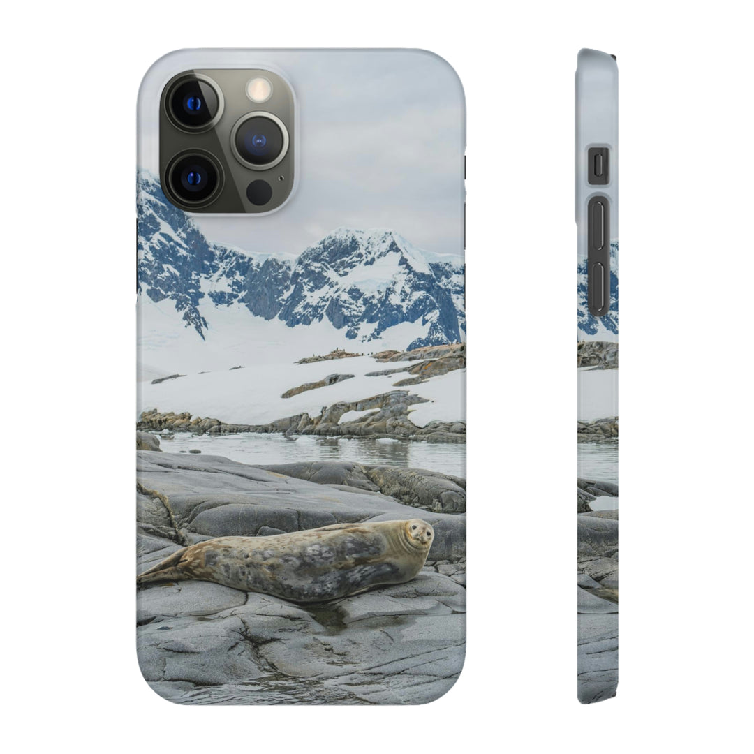 Weddell Relaxing - Phone Case