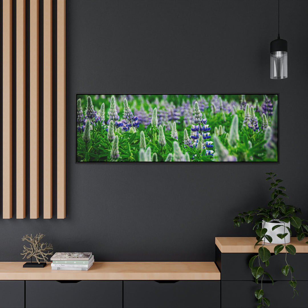 Glowing Lupin with Mountains - Canvas with Frame