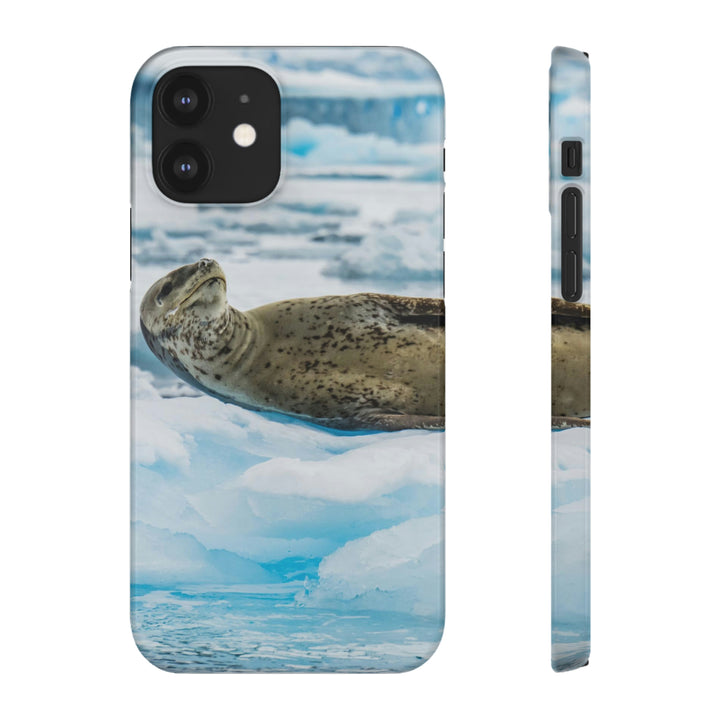 Leopard Seal Relaxing - Phone Case