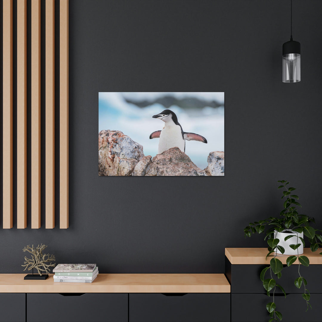 Stretched Penguin - Canvas