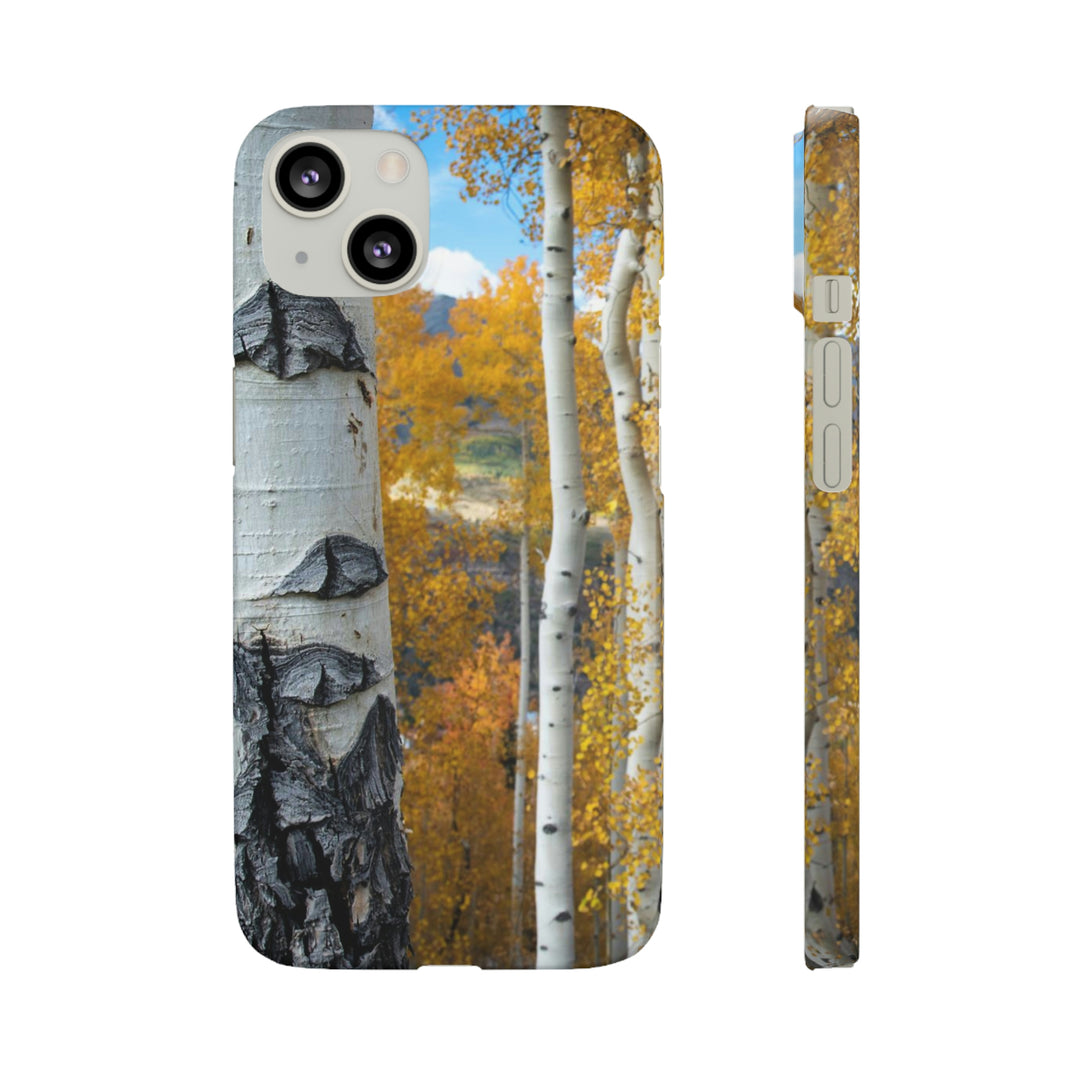 Aspens Changing - Phone Case