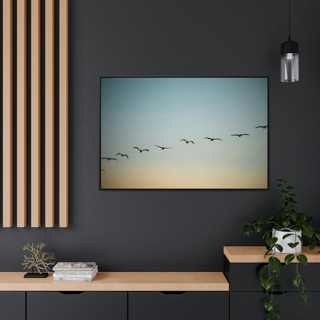 Brown Pelicans in Flight - Canvas with Frame