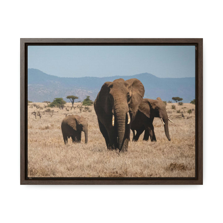 Family March - Canvas With Frame