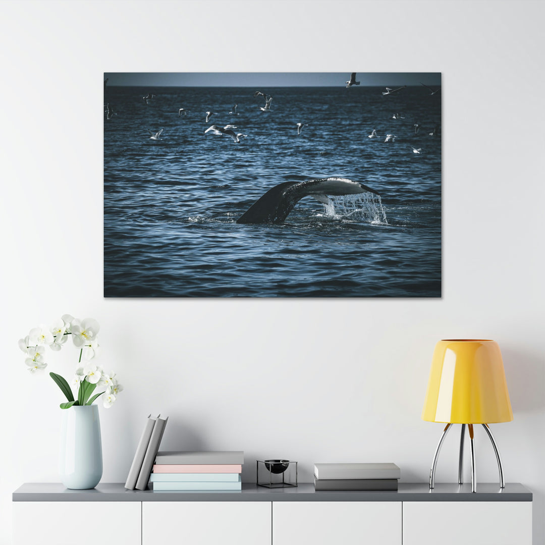 Feeding Tail - Canvas