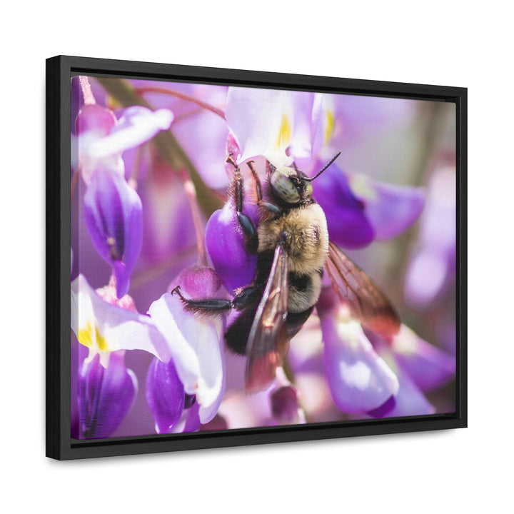 Hungry Visitor - Canvas with Frame