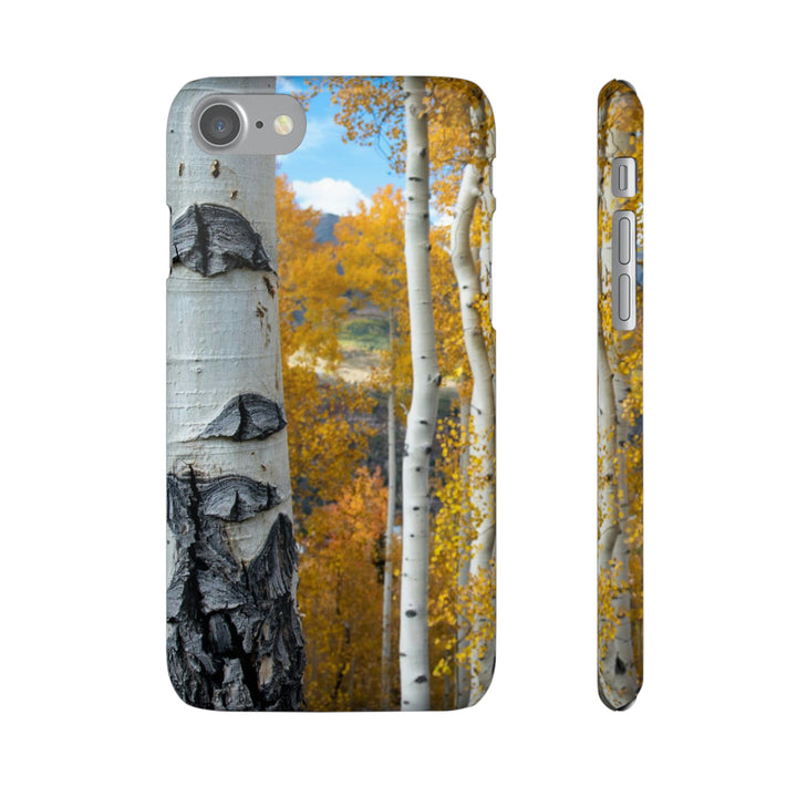 Aspens Changing - Phone Case