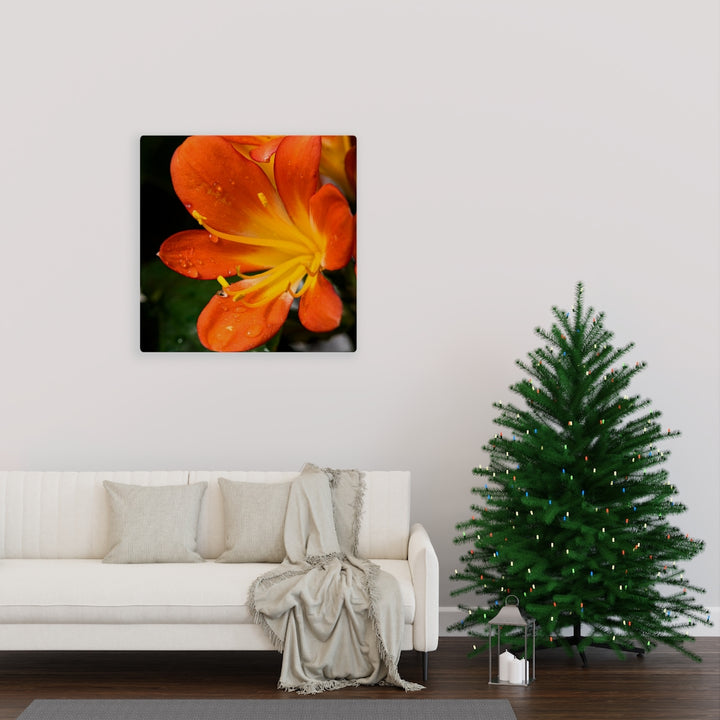 Bright Bush Lily - Canvas